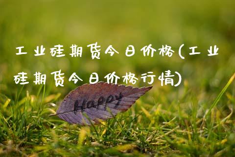 工业硅期货今日价格(工业硅期货今日价格行情)_https://qh.lansai.wang_期货理财_第1张