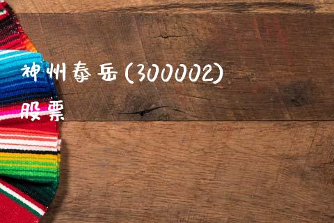 神州泰岳(300002)股票_https://qh.lansai.wang_新股数据_第1张