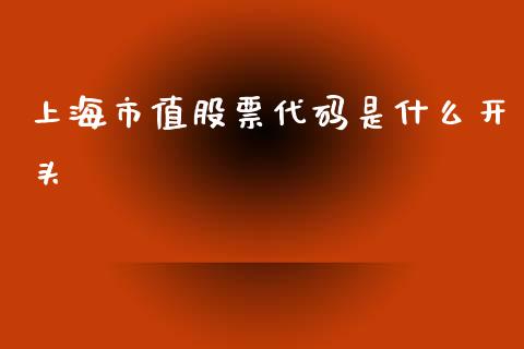 上海市值股票代码是什么开头_https://qh.lansai.wang_期货理财_第1张