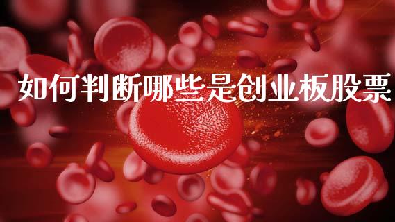 如何判断哪些是创业板股票_https://qh.lansai.wang_新股数据_第1张