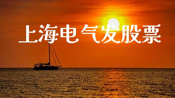 上海电气发股票_https://qh.lansai.wang_期货喊单_第1张
