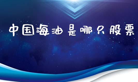 中国海油是哪只股票_https://qh.lansai.wang_新股数据_第1张