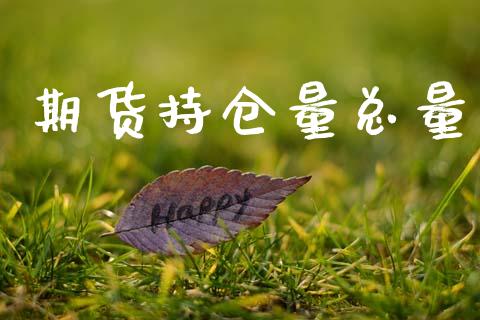 期货持仓量总量_https://qh.lansai.wang_期货理财_第1张
