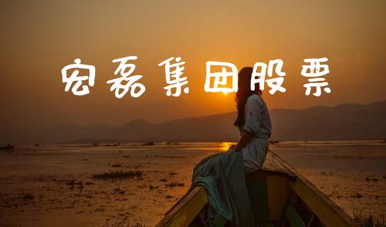 宏磊集团股票_https://qh.lansai.wang_期货理财_第1张