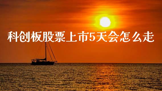 科创板股票上市5天会怎么走_https://qh.lansai.wang_期货喊单_第1张