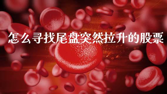 怎么寻找尾盘突然拉升的股票_https://qh.lansai.wang_期货怎么玩_第1张
