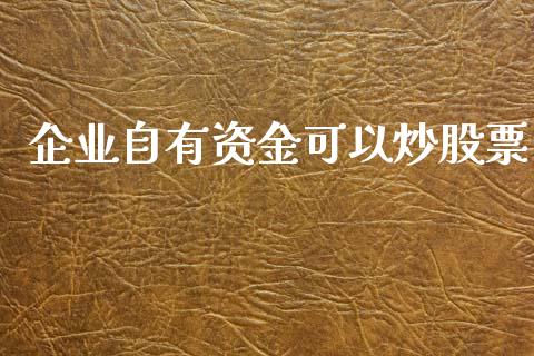 企业自有资金可以炒股票_https://qh.lansai.wang_新股数据_第1张