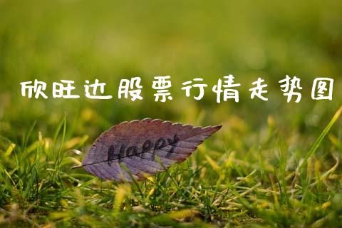 欣旺达股票行情走势图_https://qh.lansai.wang_期货怎么玩_第1张