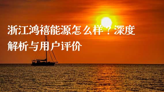 浙江鸿禧能源怎么样？深度解析与用户评价_https://qh.lansai.wang_股票技术分析_第1张
