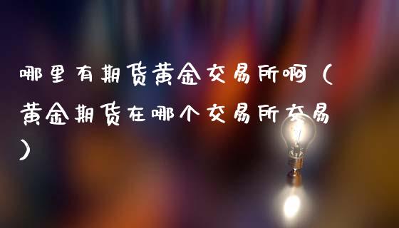 哪里有期货黄金交易所啊（黄金期货在哪个交易所交易）_https://qh.lansai.wang_期货理财_第1张
