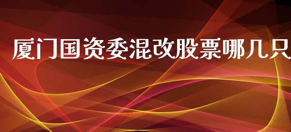 厦门国资委混改股票哪几只_https://qh.lansai.wang_期货怎么玩_第1张