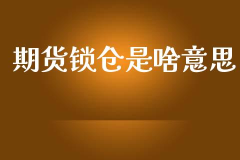 期货锁仓是啥意思_https://qh.lansai.wang_期货理财_第1张