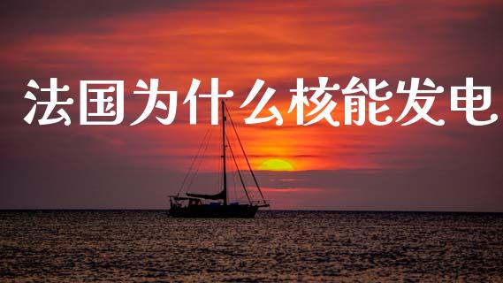 法国为什么核能发电_https://qh.lansai.wang_股票新闻_第1张