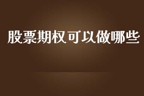 股票期权可以做哪些_https://qh.lansai.wang_期货理财_第1张