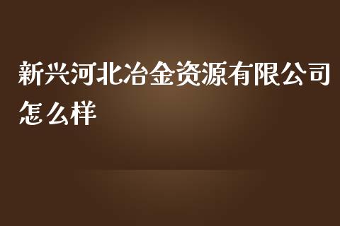 新兴河北冶金资源有限公司怎么样_https://qh.lansai.wang_期货怎么玩_第1张