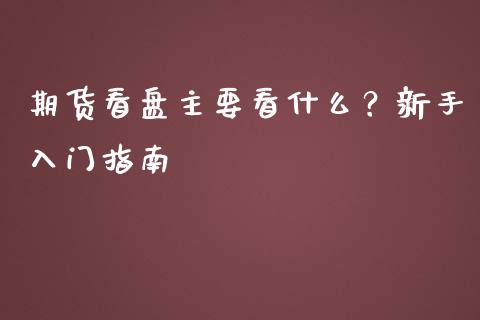 期货看盘主要看什么？新手入门指南_https://qh.lansai.wang_期货怎么玩_第1张