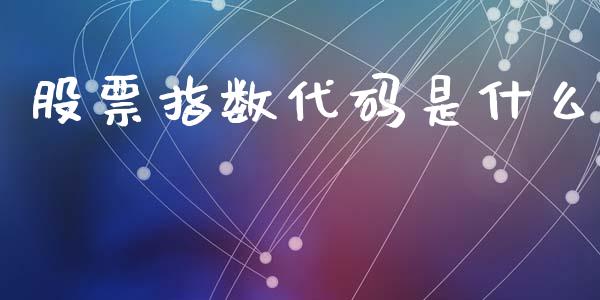 股票指数代码是什么_https://qh.lansai.wang_期货怎么玩_第1张