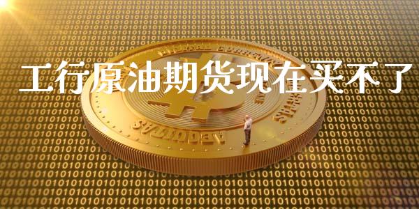 工行原油期货现在买不了_https://qh.lansai.wang_期货怎么玩_第1张