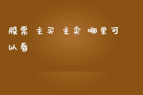 股票 主买 主卖 哪里可以看_https://qh.lansai.wang_期货理财_第1张