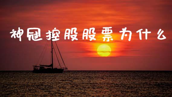 神冠控股股票为什么_https://qh.lansai.wang_期货喊单_第1张