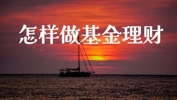 怎样做基金理财_https://qh.lansai.wang_期货理财_第1张
