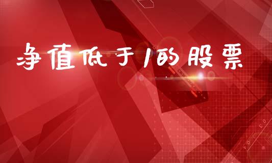 净值低于1的股票_https://qh.lansai.wang_新股数据_第1张