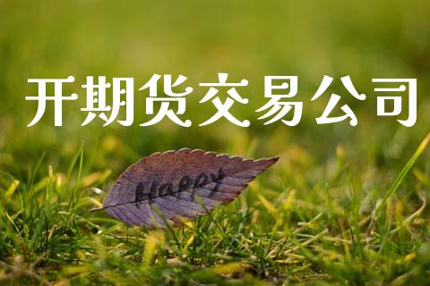 开期货交易公司_https://qh.lansai.wang_期货怎么玩_第1张