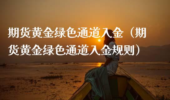 期货黄金绿色通道入金（期货黄金绿色通道入金规则）_https://qh.lansai.wang_期货怎么玩_第1张