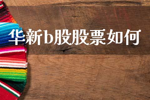 华新b股股票如何_https://qh.lansai.wang_期货理财_第1张