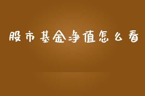 股市基金净值怎么看_https://qh.lansai.wang_期货理财_第1张