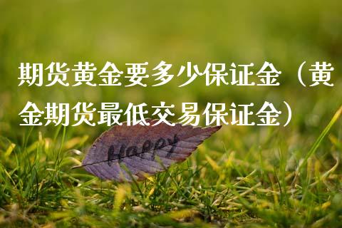 期货黄金要多少保证金（黄金期货最低交易保证金）_https://qh.lansai.wang_期货理财_第1张