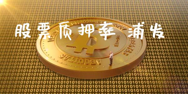 股票质押率 浦发_https://qh.lansai.wang_期货理财_第1张