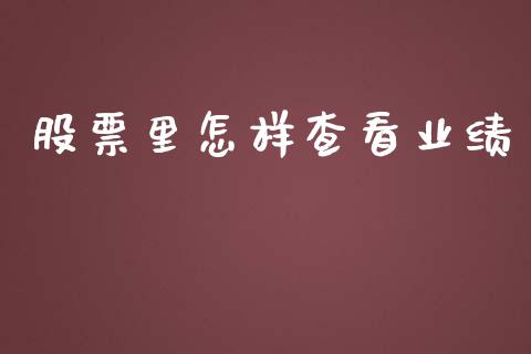 股票里怎样查看业绩_https://qh.lansai.wang_新股数据_第1张