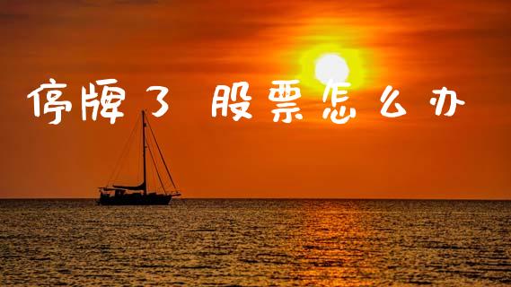 停牌了 股票怎么办_https://qh.lansai.wang_期货喊单_第1张