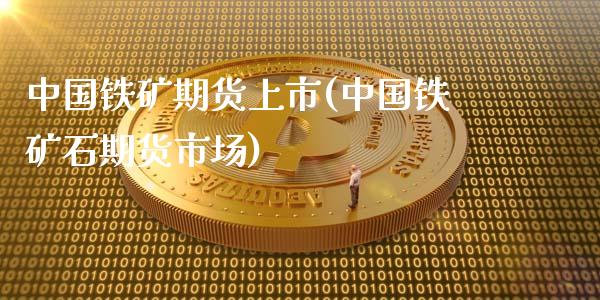 中国铁矿期货上市(中国铁矿石期货市场)_https://qh.lansai.wang_期货怎么玩_第1张
