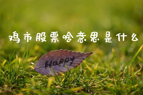 鸡市股票啥意思是什么_https://qh.lansai.wang_期货喊单_第1张