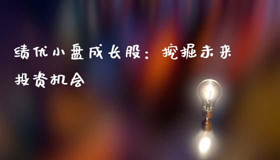 绩优小盘成长股：挖掘未来投资机会_https://qh.lansai.wang_期货理财_第1张