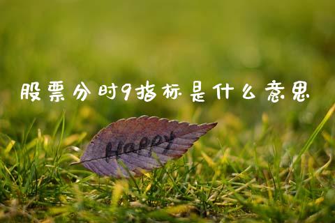 股票分时9指标是什么意思_https://qh.lansai.wang_期货理财_第1张