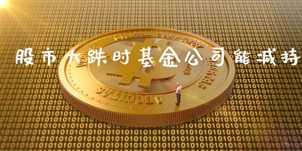 股市大跌时基金公司能减持_https://qh.lansai.wang_期货理财_第1张