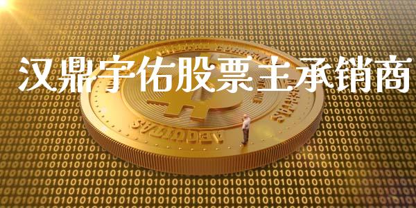 汉鼎宇佑股票主承销商_https://qh.lansai.wang_期货理财_第1张