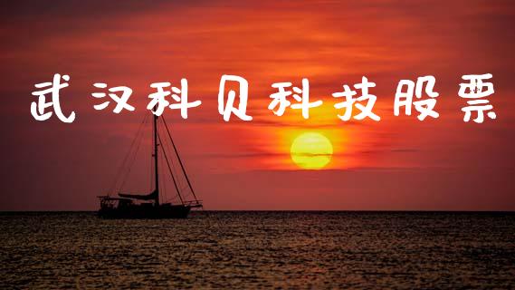 武汉科贝科技股票_https://qh.lansai.wang_期货喊单_第1张