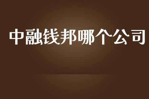 中融钱邦哪个公司_https://qh.lansai.wang_股票新闻_第1张