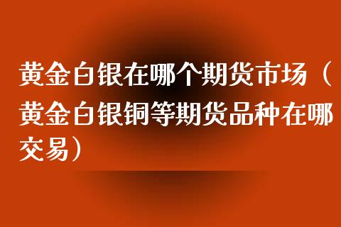 黄金白银在哪个期货市场（黄金白银铜等期货品种在哪交易）_https://qh.lansai.wang_期货理财_第1张
