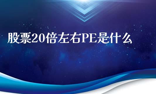 股票20倍左右PE是什么_https://qh.lansai.wang_新股数据_第1张