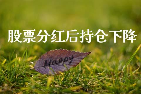 股票分红后持仓下降_https://qh.lansai.wang_期货怎么玩_第1张