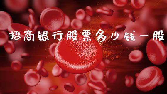 招商银行股票多少钱一股_https://qh.lansai.wang_期货怎么玩_第1张