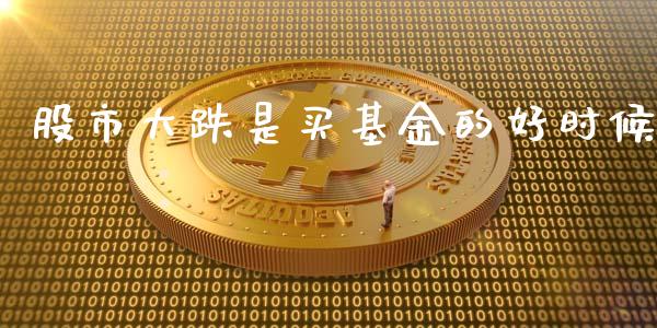 股市大跌是买基金的好时候_https://qh.lansai.wang_期货理财_第1张