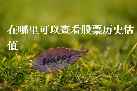 在哪里可以查看股票历史估值_https://qh.lansai.wang_期货理财_第1张