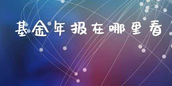 基金年报在哪里看_https://qh.lansai.wang_股票新闻_第1张