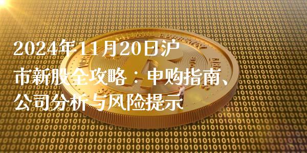2024年11月20日沪市新股全攻略：申购指南、公司分析与风险提示_https://qh.lansai.wang_期货怎么玩_第1张